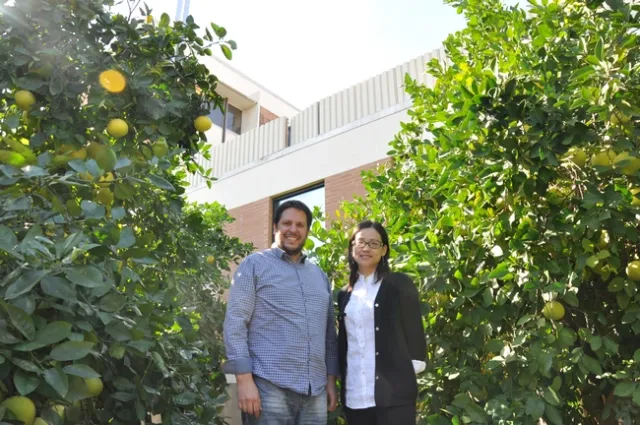 Georgios Vidalakis, left, and UC Riverside plant pathologist Wenbo Ma are among scientists searching for an HLB cure. (Photo: UCR Today)