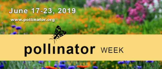 pollinator week