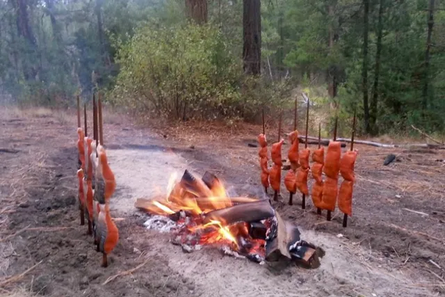 Two lines of salmon skewered on wooden poles line opposite sides of a wood fire.