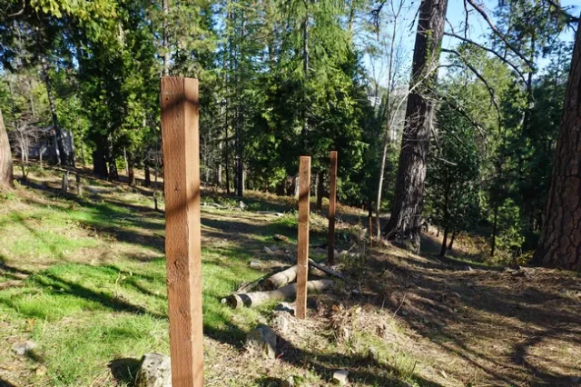 The previous homeowners installed wood fences on the sloping property lines from down the hill up to the home. “It was a perfect way for a fire to wick into the house,” Wilkin said. The couple removed the fence slats and plan to remove the posts as well.