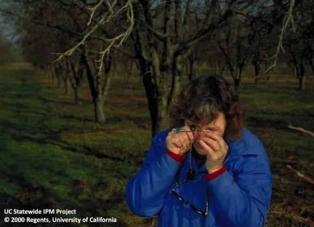 IPM Advisor Carolyn Pickel, first woman Cooperative Extension advisor, worked to solve orchard pest issues for 38 years.