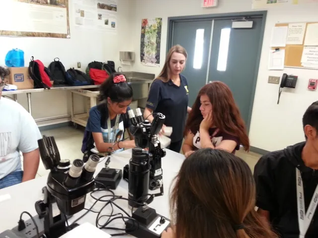 Cayci Allison, Staff Research Associate, hands out specimens of pinned ants in the workshop by Dr. Kristen Tollerup.