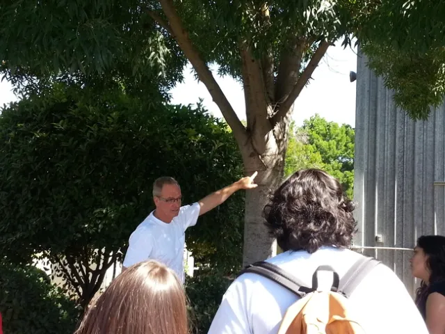 After laboratory work, Kris took the ant students outside to study ant behavior and ecology.