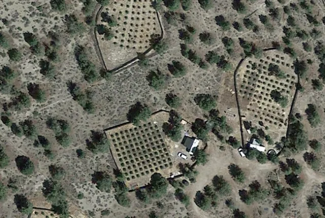 Research has shown that illegal cannabis production causes environmental damage.