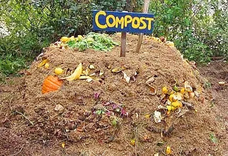Compost