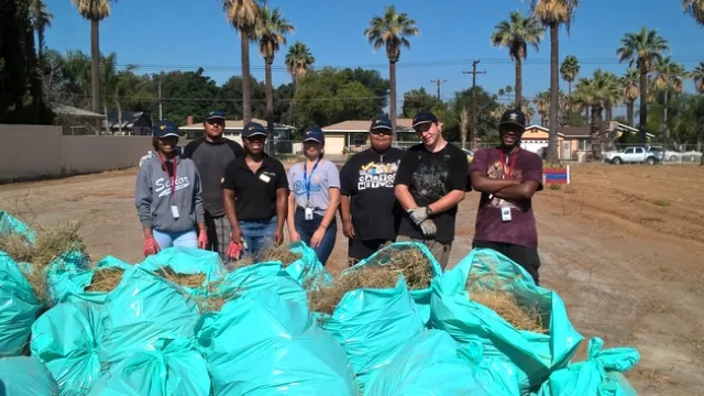 WP 20190713 09 29 30 Pro