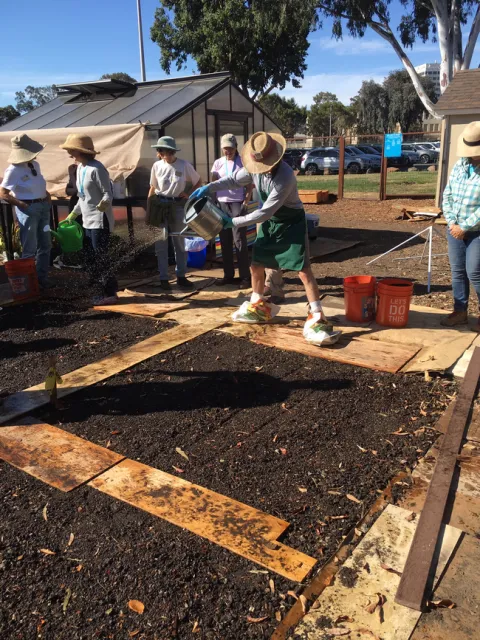 Inoculating compost extract