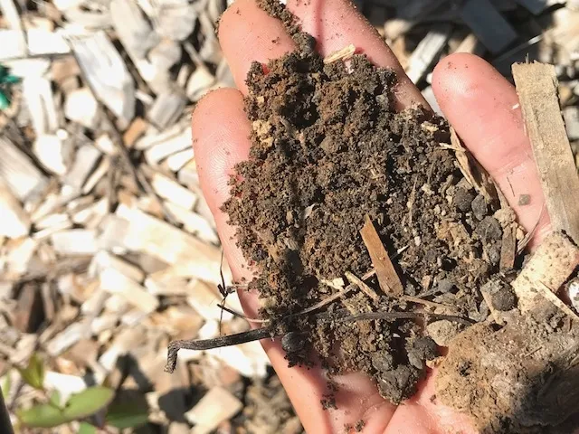 Woodchip Laytonville