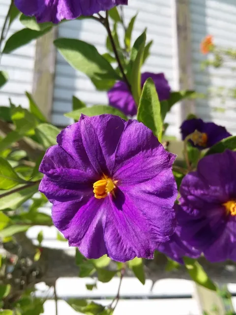 Photo By Polly Nelson