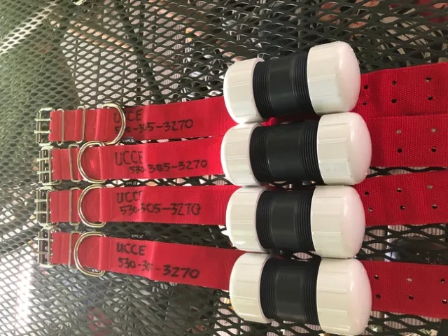 Photo Jul 29, 6 29 28 PM