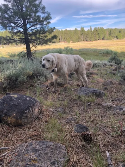 Photo Jul 23, 6 41 29 PM