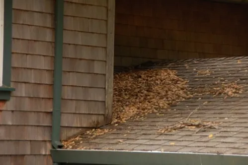 Roof with debris accumulation