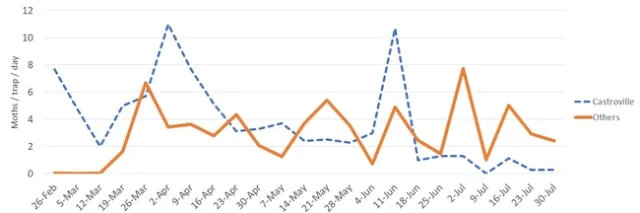 DBM time series graph Jul19