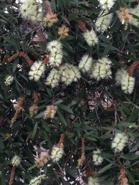 Photo by Leslie E. Stevens