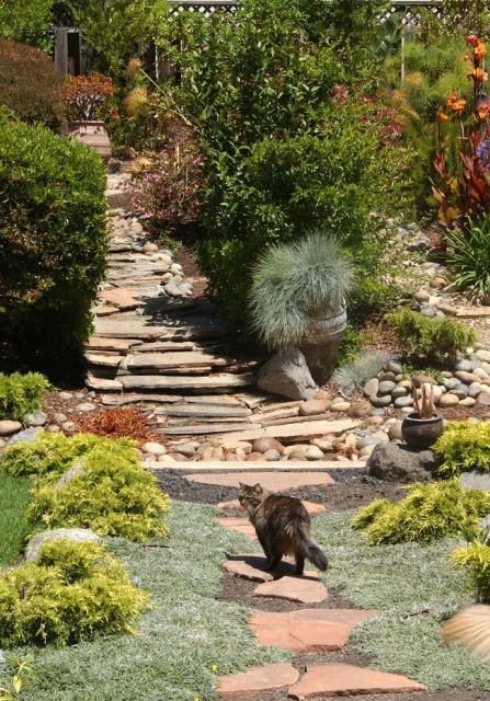 3rd Place Leora Worthington MONTEREY