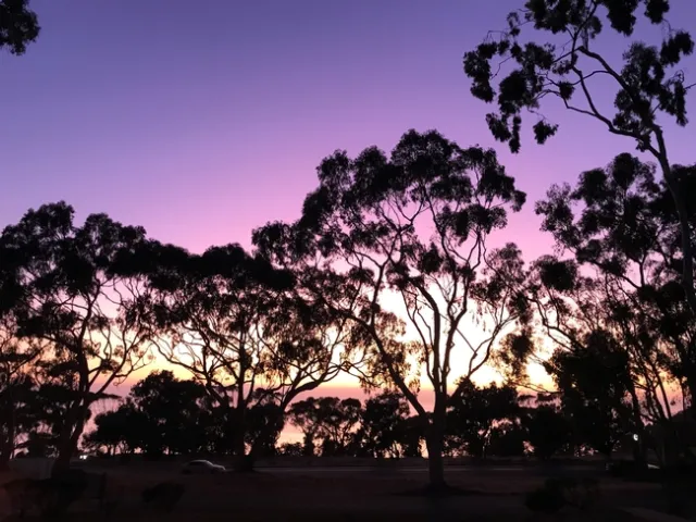 San Diego sunset. Photo courtesy of Mark Bell.