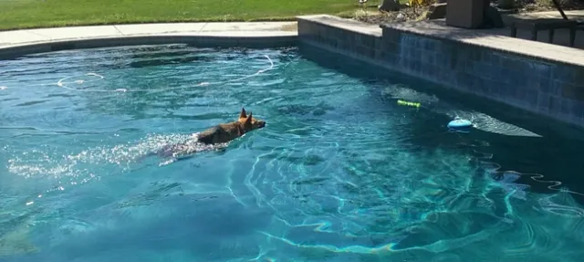 Sasha makes the most of the end of summer