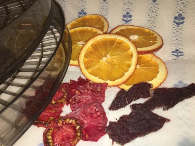 Photo By Diane Galvan