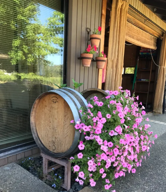 Wine BARREL PETUNIA