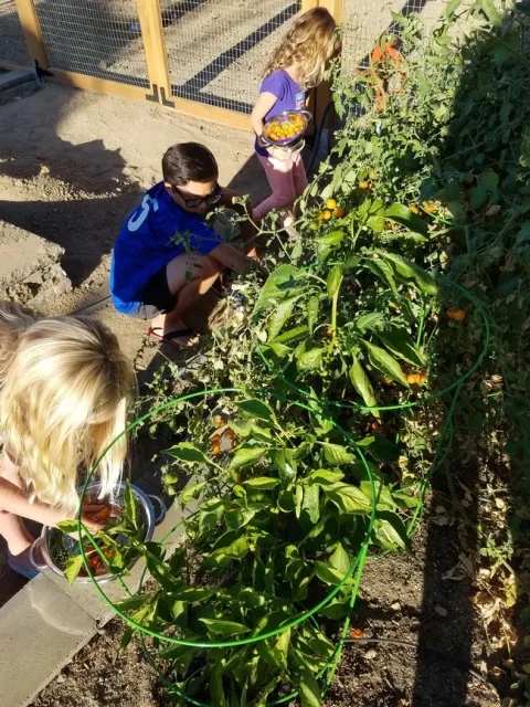 Children hard at work