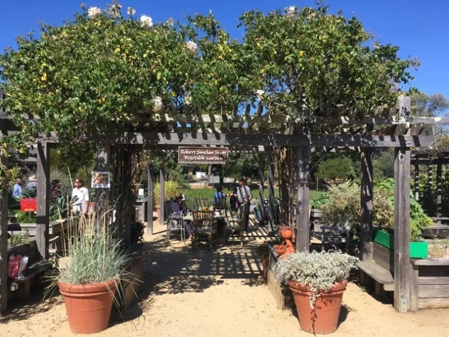Garden arbor with climbing vines and potted plants, make up the entrance to the Robert Sinclair Scott garden.