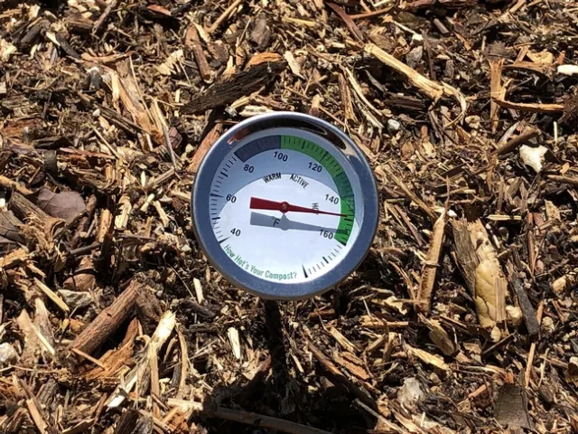 Photo by Jacqueline Shubitowski