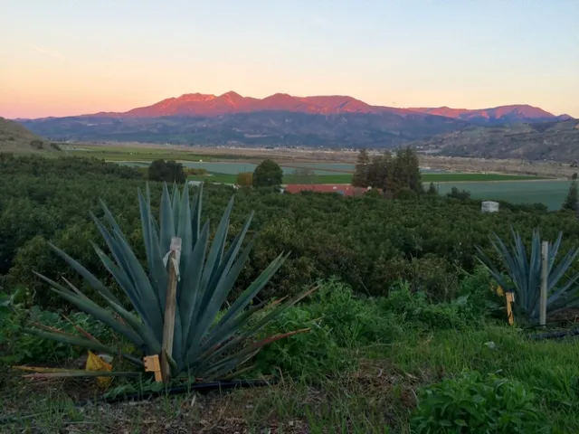 Photo of King & King Ranch. Credit Gemina Garland-Lewis.