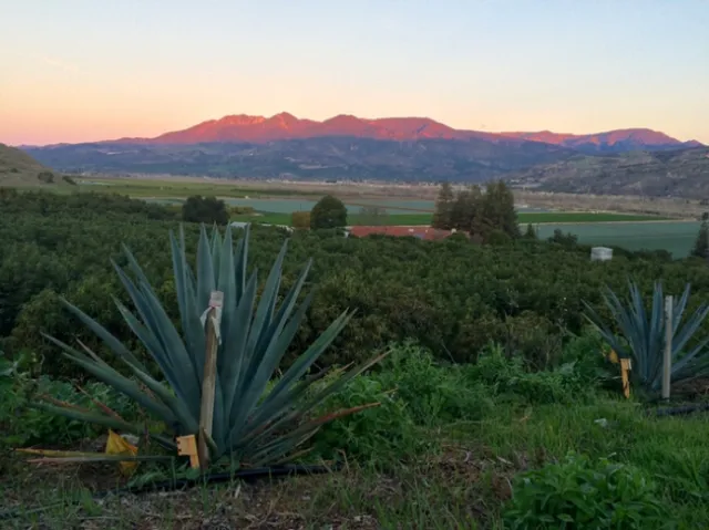Photo of King & King Ranch Credit Gemina Garland-Lewis.