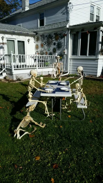 Skeleton picnic (Photo courtesy of Charles Powers)