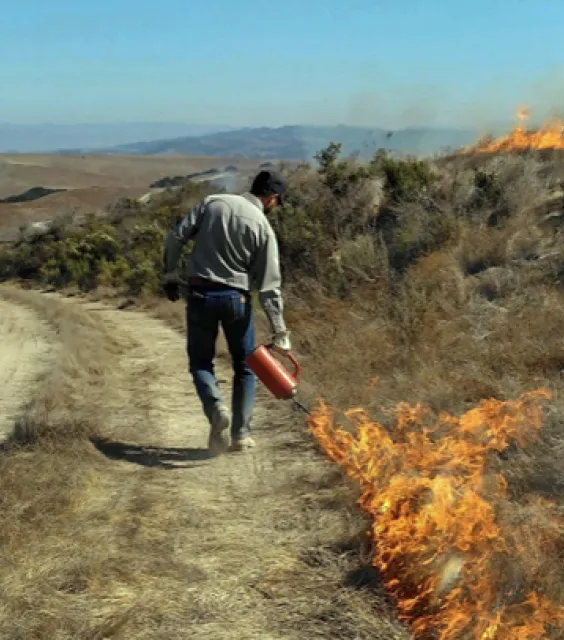 Matthew Shapero Rx burn by Robert Acquistapace