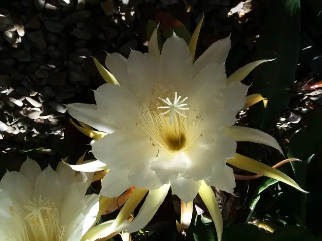 Photo By Polly Nelson