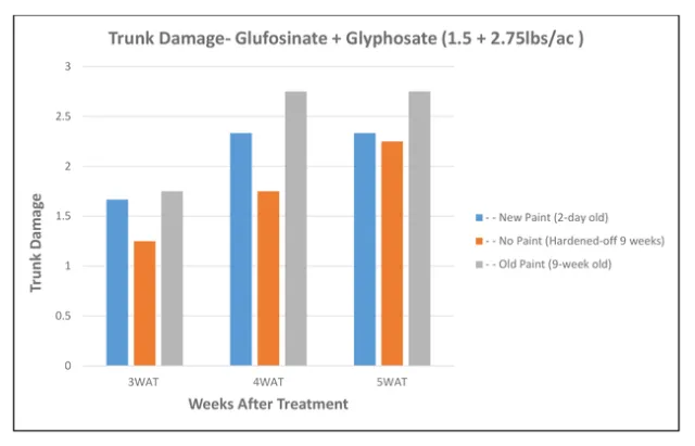 Trunk damage--glufosinate + glyphosate (1.5 + 2.75lbs/ac)