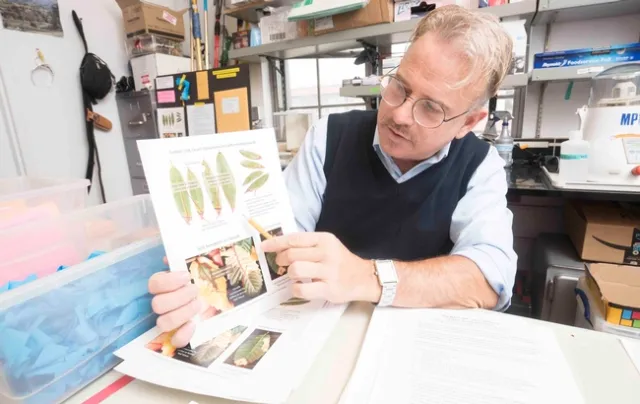 Matteo Garbelotto refers to a resource provided to citizen science volunteers who participate in the 2019 SOD Blitz. More thank 400 participants helped gather data this year. Photo by Jim Block.