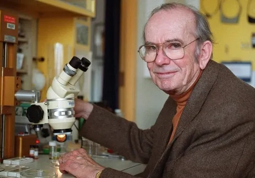 Thomas Eisner, father of chemical ecology, at his microscope at Cornell University. (Courtesy Photo)