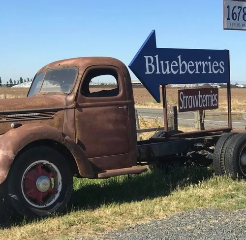 Blueberry arrow sign on old truch