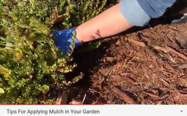 Consumers seek practical information from how-to videos.