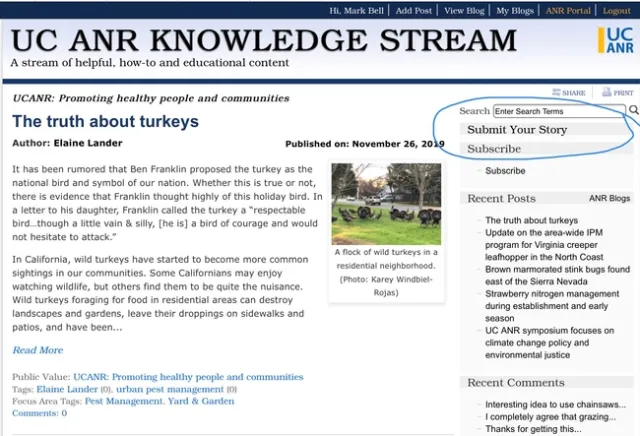 Knowledge Stream stories connect people to solutions for their real-world problems.