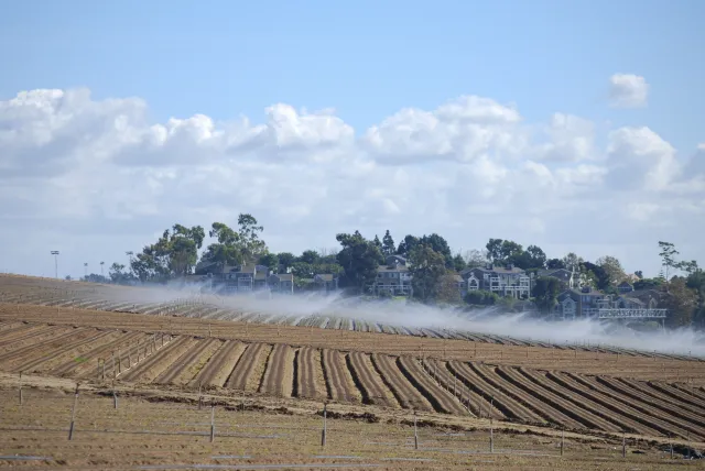 The Fields (wide-angle)