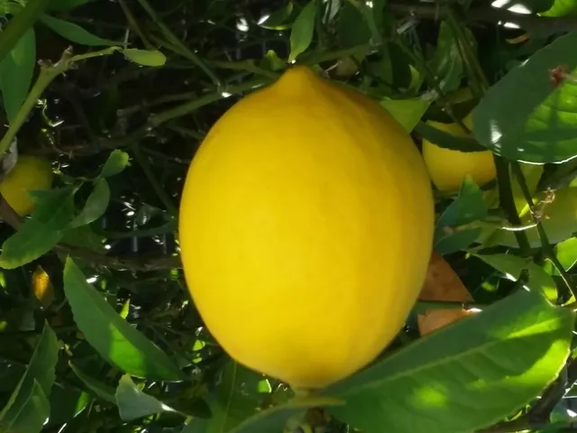 Photo By Polly Nelson