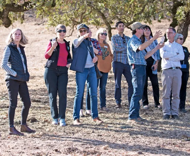 John Gorman, fourth from right, pointed out where the Kincade Fire burned Stuhlmuller Vineyards property, forcing him to sell the cattle and take a total loss on the smoke-damaged wine grapes.