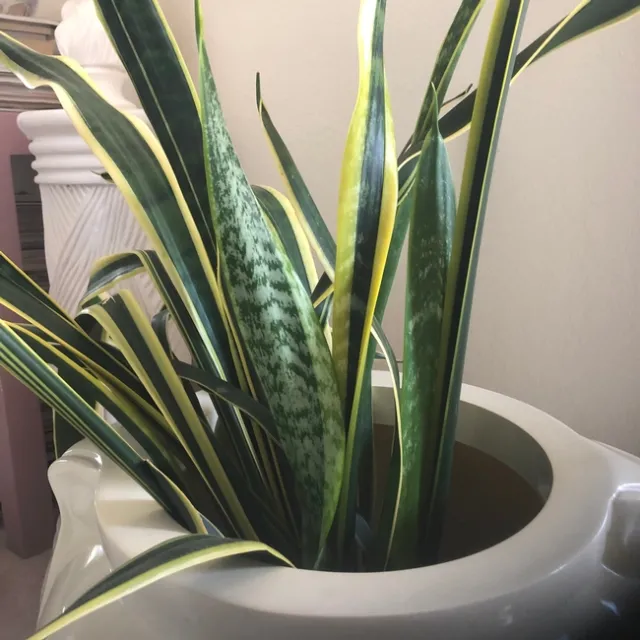 Photo by Mary Giacoletti