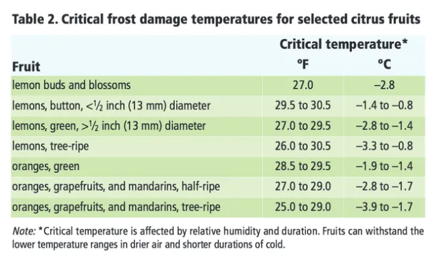 Frost damage table for citrus, UC ANR