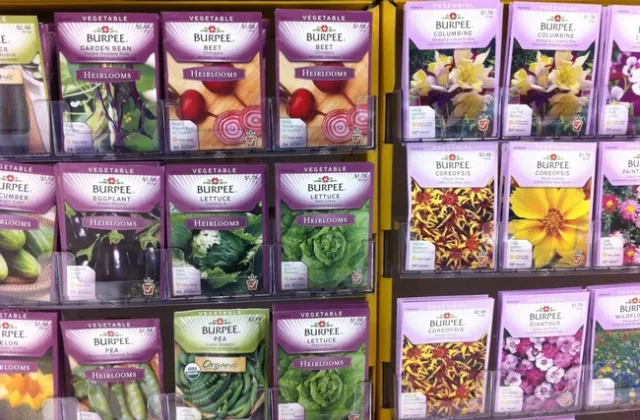 Heirloom Seed Packets / Photo: Parenting Patch