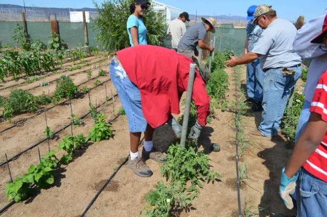 Bob Yocum teaches at Sommer Haven Ranch in Lancaster, CA.