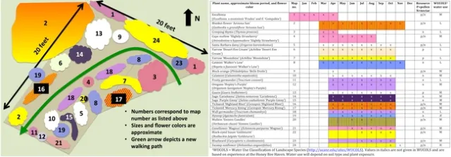 Sample planting plan and plant list