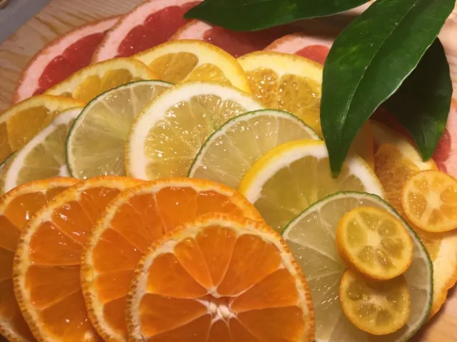 Photo by Diane Galvan