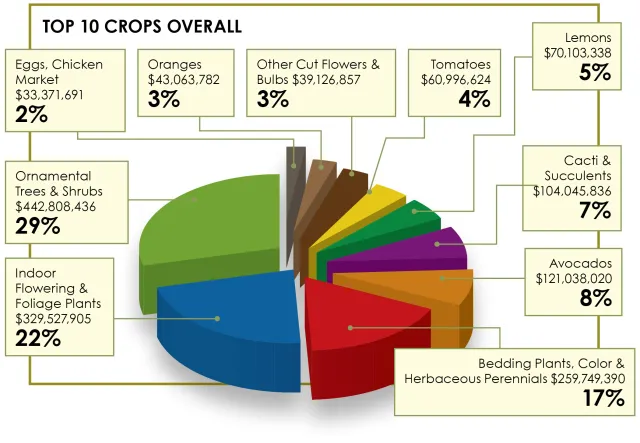 2019_Top 10 Crops overall-01