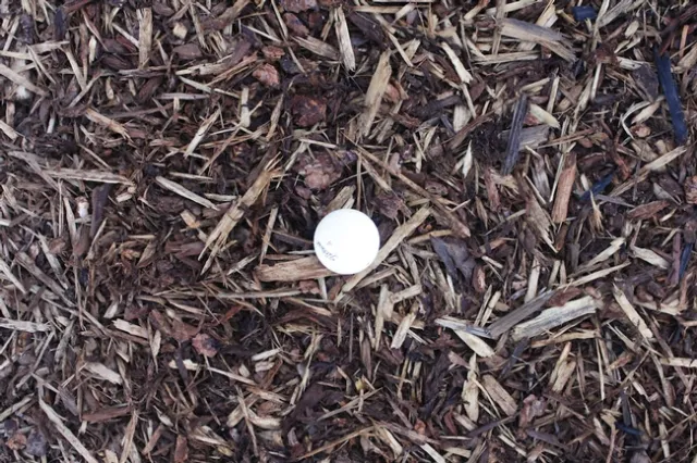 Walk-On Bark Pieces & Chips of Fir