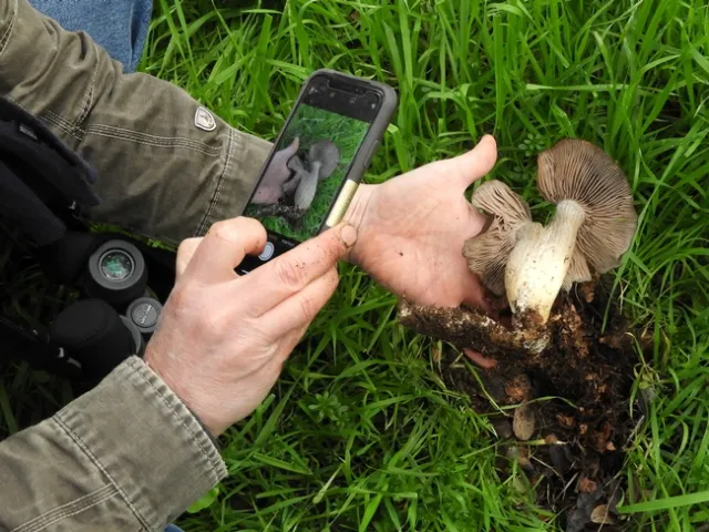 Naturalists making discoveries with Tuleyome in 2019. Photo Mary Hanson.