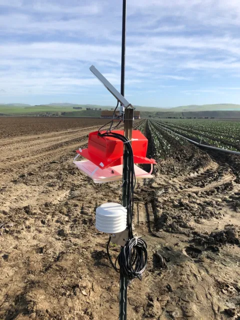 Automated pheromone trap